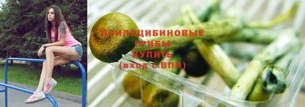 дурь Алзамай