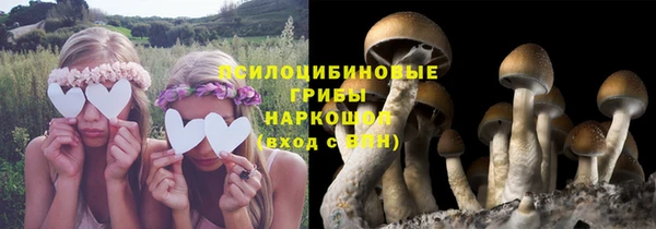 Альфа ПВП Алексин