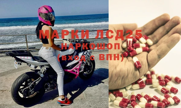 spice Абаза