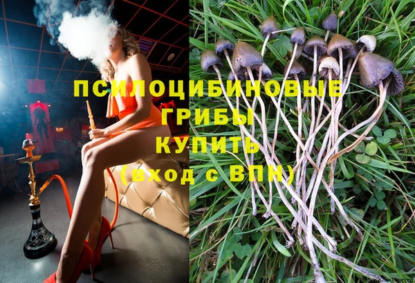 дурь Алзамай