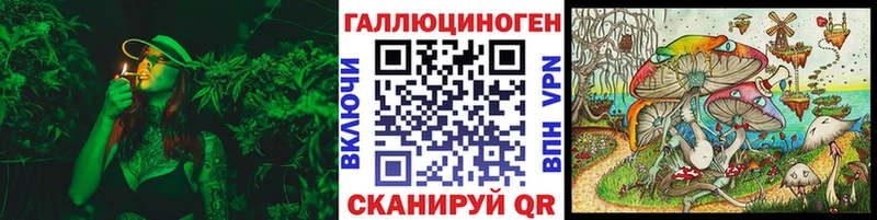 darknet официальный сайт  Берёзовка  Галлюциногенные грибы Psilocybine cubensis  OMG вход 